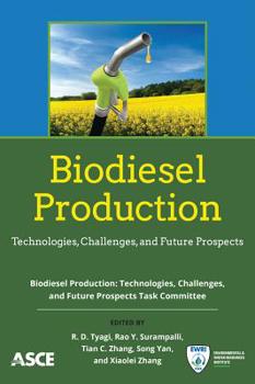 Paperback Biodiesel Production: Technologies, Challenges, and Future Prospects Book