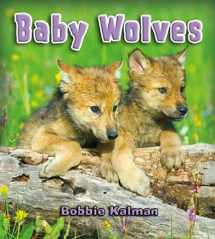 Library Binding Baby Wolves Book