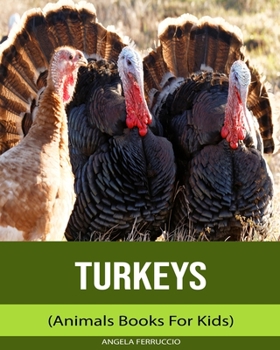 Paperback Turkeys (Animals Books For Kids) Book