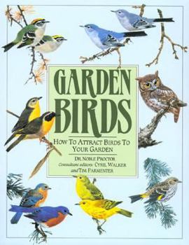 Paperback Garden Birds: How to Attract Birds to Your Garden Book