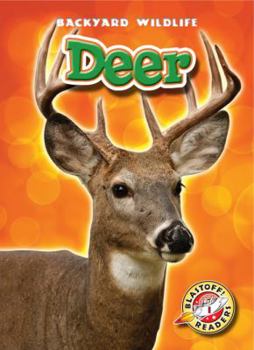 Deer - Book  of the Backyard Wildlife