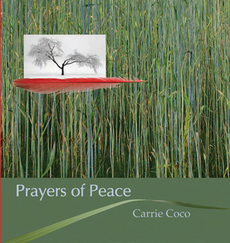 Hardcover Prayers of Peace Book