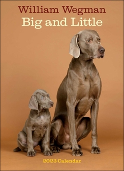 Calendar William Wegman Big and Little 2023 Wall Calendar Book