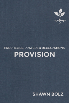 Hardcover Provision: Prophecies, Prayers & Declarations Volume 2 Book