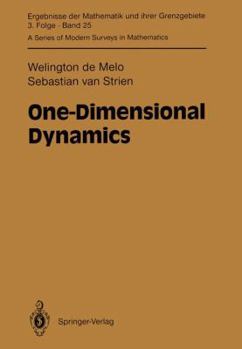 Paperback One-Dimensional Dynamics Book