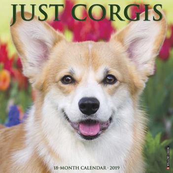 Calendar Just Corgis 2019 Wall Calendar (Dog Breed Calendar) Book