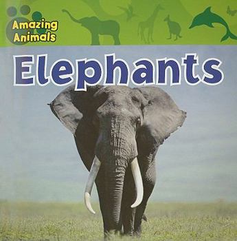 Paperback Elephants Book