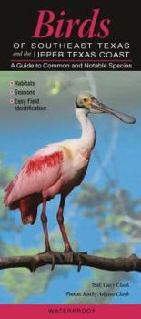 Pamphlet Birds of Southeast Texas & the Upper Texas Coast: A Guide to Common & Notable Species Book