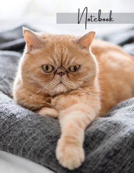 Paperback Notebook: Unlined - Unruled - Plain Notebook - 130 Pages - Large Format 8.5 x 11 in - Workbook - Composition - Cats - Exotic Cov Book