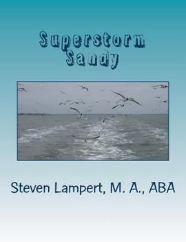 Paperback Superstorm Sandy: Thesis Book