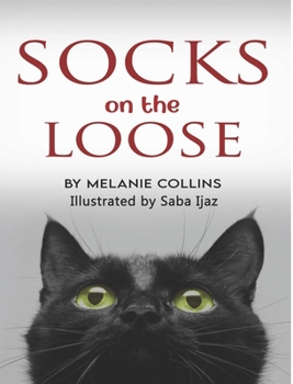Hardcover Socks ... On the Loose Book