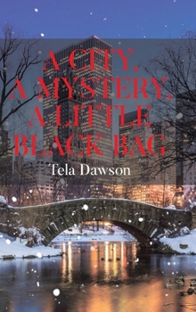Hardcover A City, a Mystery, a Little Black Bag Book