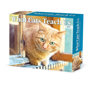 Calendar What Cats Teach Us 2022 Box Calendar, Daily Desktop Book