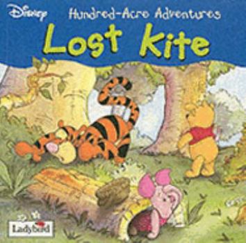 Paperback Lost Kite Book