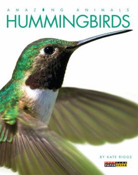 Paperback Hummingbirds Book