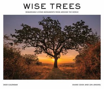 Calendar Wise Trees 2020 Wall Calendar: Remarkable Living Monuments from Around the World Book