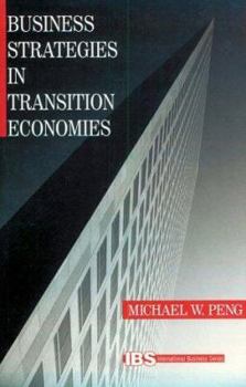 Paperback Business Strategies in Transition Economies Book
