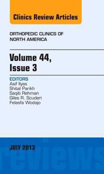 Hardcover Volume 44, Issue 3, an Issue of Orthopedic Clinics: Volume 44-3 Book