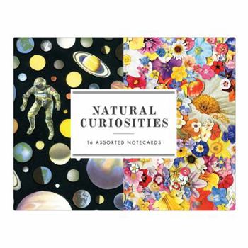Cards Natural Curiosities Greeting Assortment Notecards Book