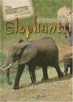 Library Binding The Secret Lives of Elephants Book