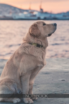 Paperback Notebook: Labrador retrieve walking near lake [110 pages]: Labrador retrieve walking near lake Book