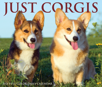 Calendar Just Corgis 2021 Box Calendar (Dog Breed Calendar) Book