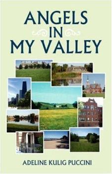 Hardcover Angels in My Valley Book