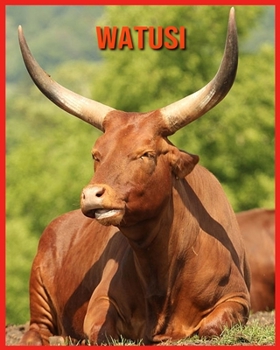 Paperback Watusi: Recueil pour Enfants de Belles Images & d'Informations Int?ressantes Concernant les Watusi [French] Book