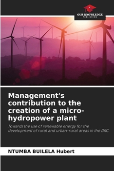 Paperback Management's contribution to the creation of a micro-hydropower plant Book