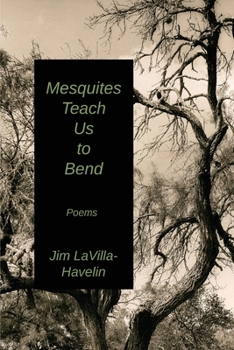 Mesquites Teach Us to Bend