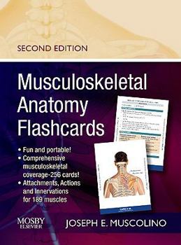 Paperback Musculoskeletal Anatomy Flashcards Musculoskeletal Anatomy Flashcards Book