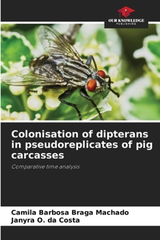 Colonisation of dipterans in pseudoreplicates of pig carcasses: Comparative time analysis