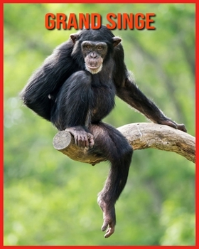 Paperback Grand Singe: D?couvrez les Grand Singe et Admirez des Images Color?es [French] Book