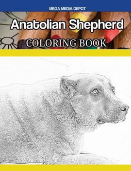 Paperback Anatolian Shepherd Coloring Book
