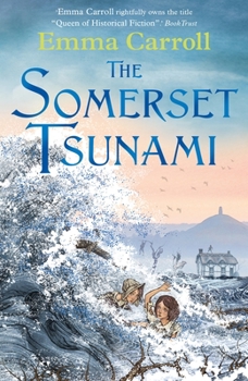 Paperback The Somerset Tsunami Book