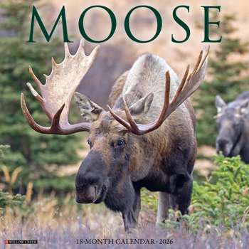 Calendar Moose 2026 Wall Calendar Book