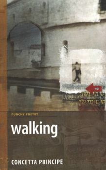 Paperback Walking: Not a Nun's Diary Book