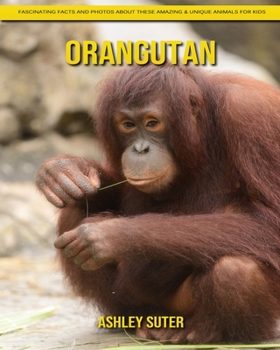 Paperback Orangutan: Fascinating Facts and Photos about These Amazing & Unique Animals for Kids Book