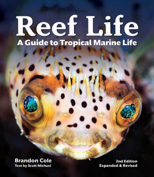 Paperback Reef Life: A Guide to Tropical Marine Life Book