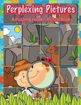 Paperback Perplexing Pictures: A Puzzling Hidden Picture Book