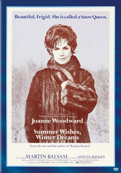 DVD Summer Wishes, Winter Dreams Book