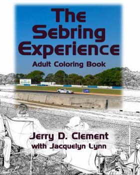 Paperback The Sebring Experience Book