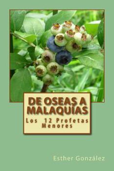 Paperback de oseas a malaquias: los profetas menores [Spanish] Book