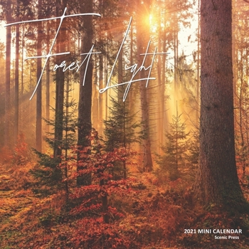 Paperback Forest Light: 2021 Mini Wall Calendar Book