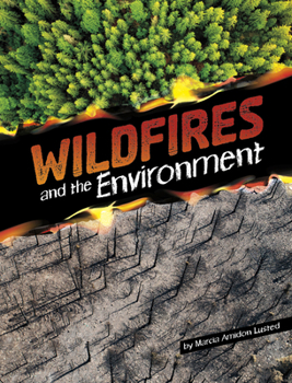 Paperback Wildfires and the Environment Book