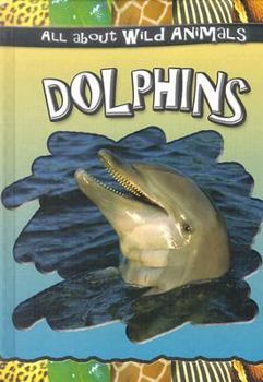 Library Binding Dolphins Book