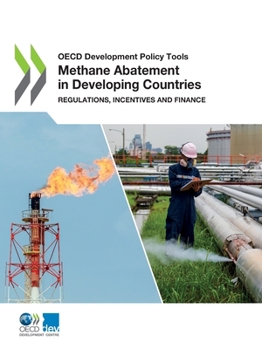 Paperback Methane Abatement in Developing Countries Book