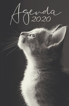 Agenda 2020: 12 mois de Janvier à Décembre 2020 | Planificateur, organisateur, semainier | Photo de chaton 2 (French Edition)