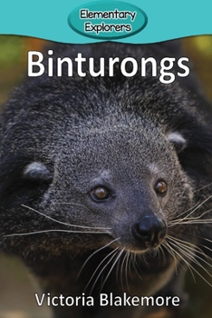 Paperback Binturongs Book