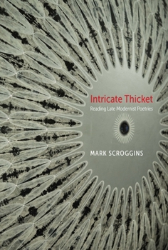 Paperback Intricate Thicket: Reading Late Modernist Poetries Book